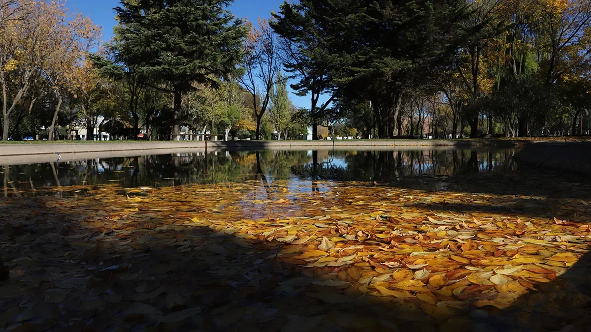 Neuquén anticipa un leve calentamiento antes de la llegada de las heladas