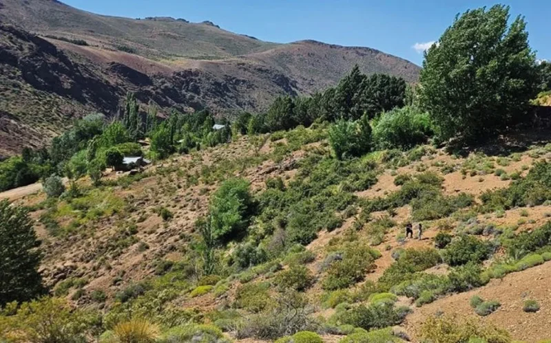 Neuquén avanza en la regularización de tierras fiscales para apoyar a productores