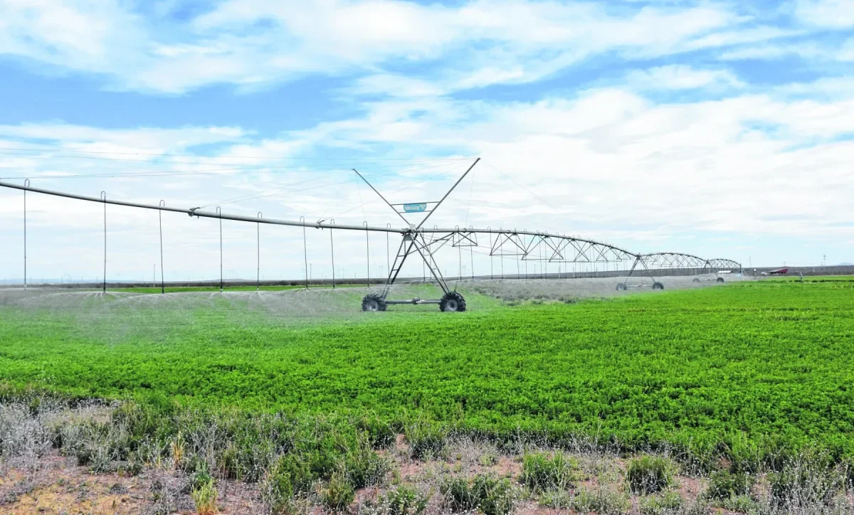 Neuquén busca beneficios para operadoras de Vaca Muerta en negociación de canon de agua