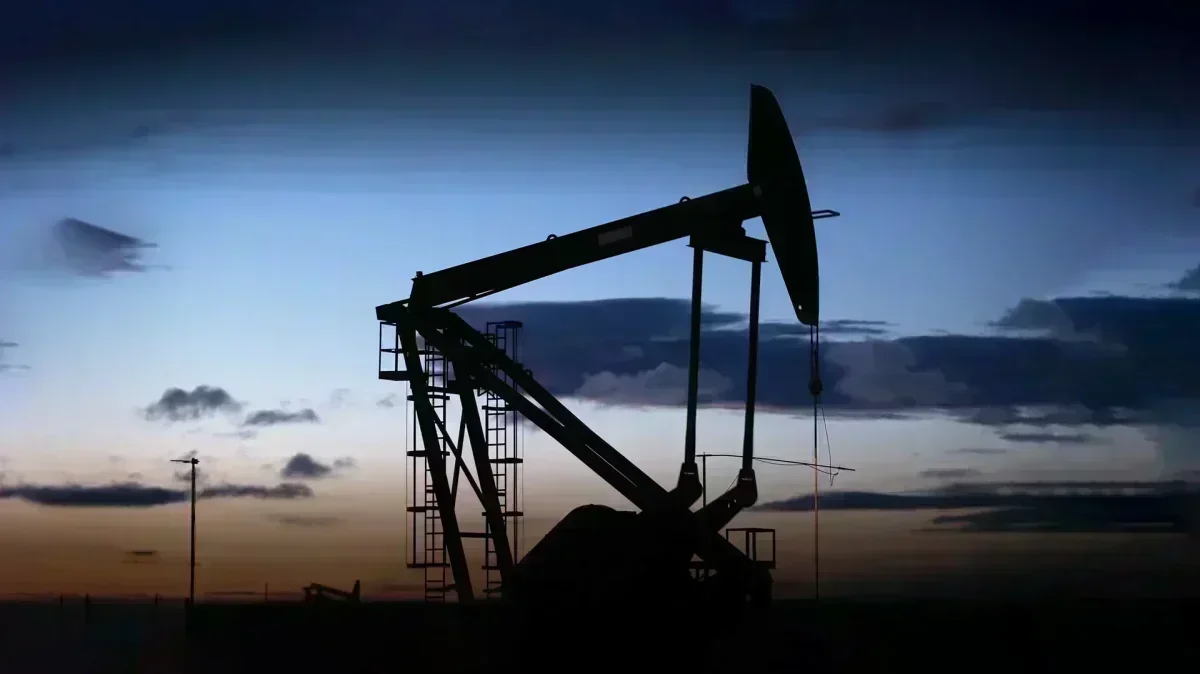 Neuquén busca diversificar su economía con estrategias innovadoras