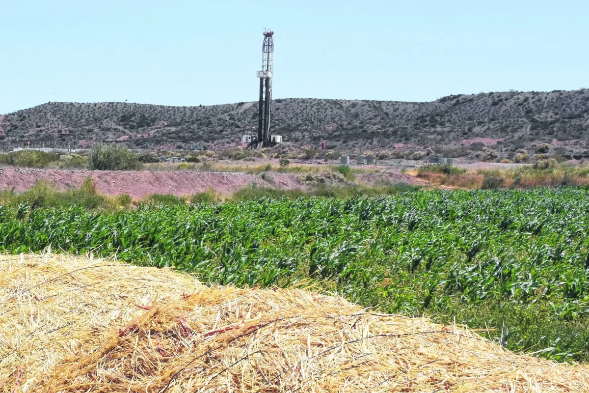 Neuquén busca impulsar la diversificación productiva para fortalecer la economía local