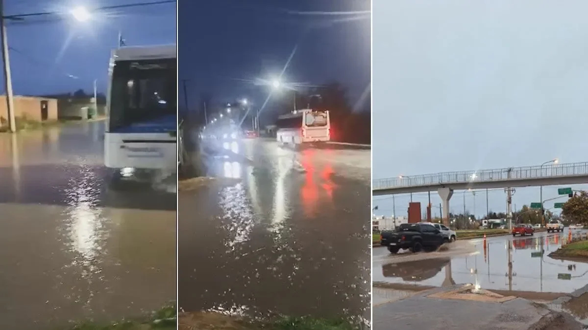 Neuquén enfrenta desafíos tras las intensas lluvias: impacto en la provincia