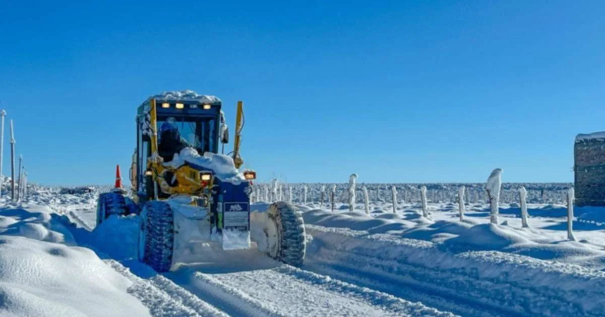 Neuquén enfrenta severas condiciones invernales: rutas cerradas y escuelas suspenden clases