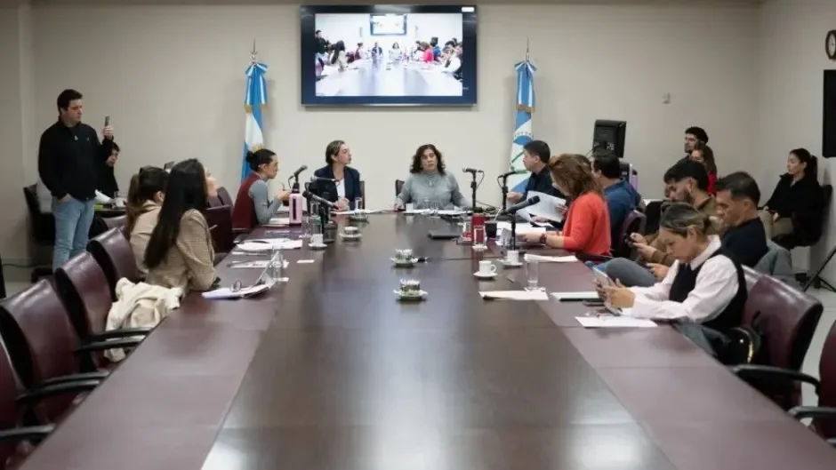 Neuquén evalúa implementar controles de drogas para sus legisladores