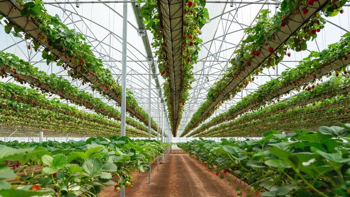 Neuquén extiende el bono de Ingresos Brutos para atraer nuevas inversiones