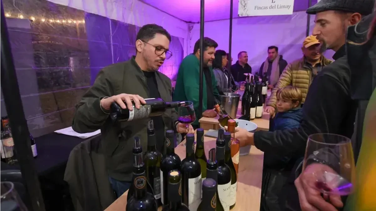 Neuquén presenta Embajador del Vino: un nuevo reconocimiento a la gastronomía local