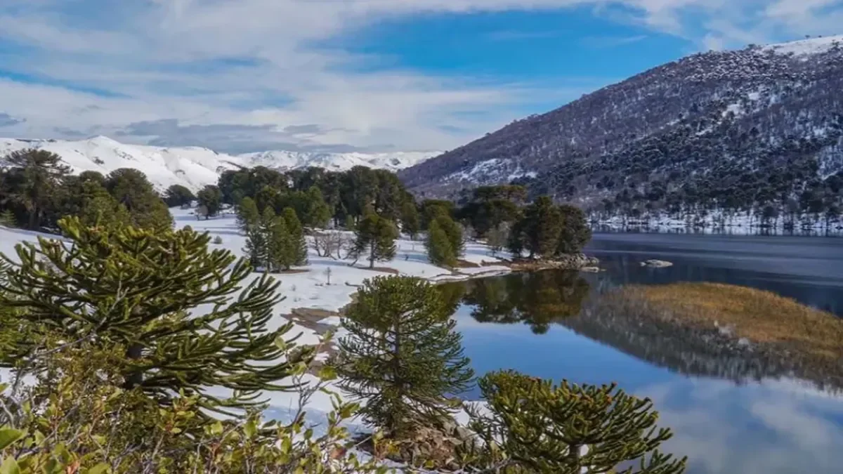 Neuquén reafirma su soberanía territorial con modificación de la Ley de Tierras