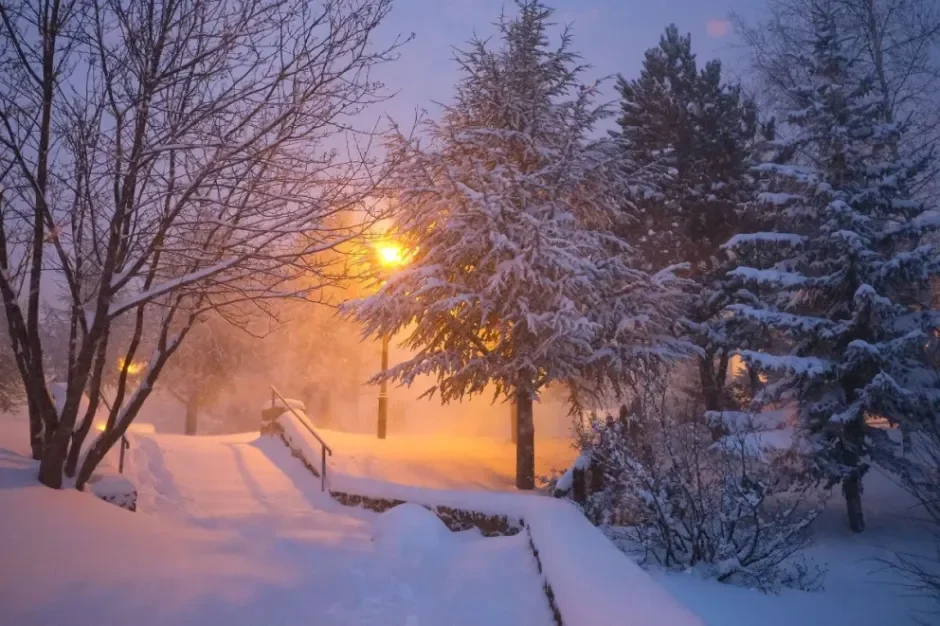 Nevadas intensas y viento blanco: se esperan hasta 50 cm este viernes