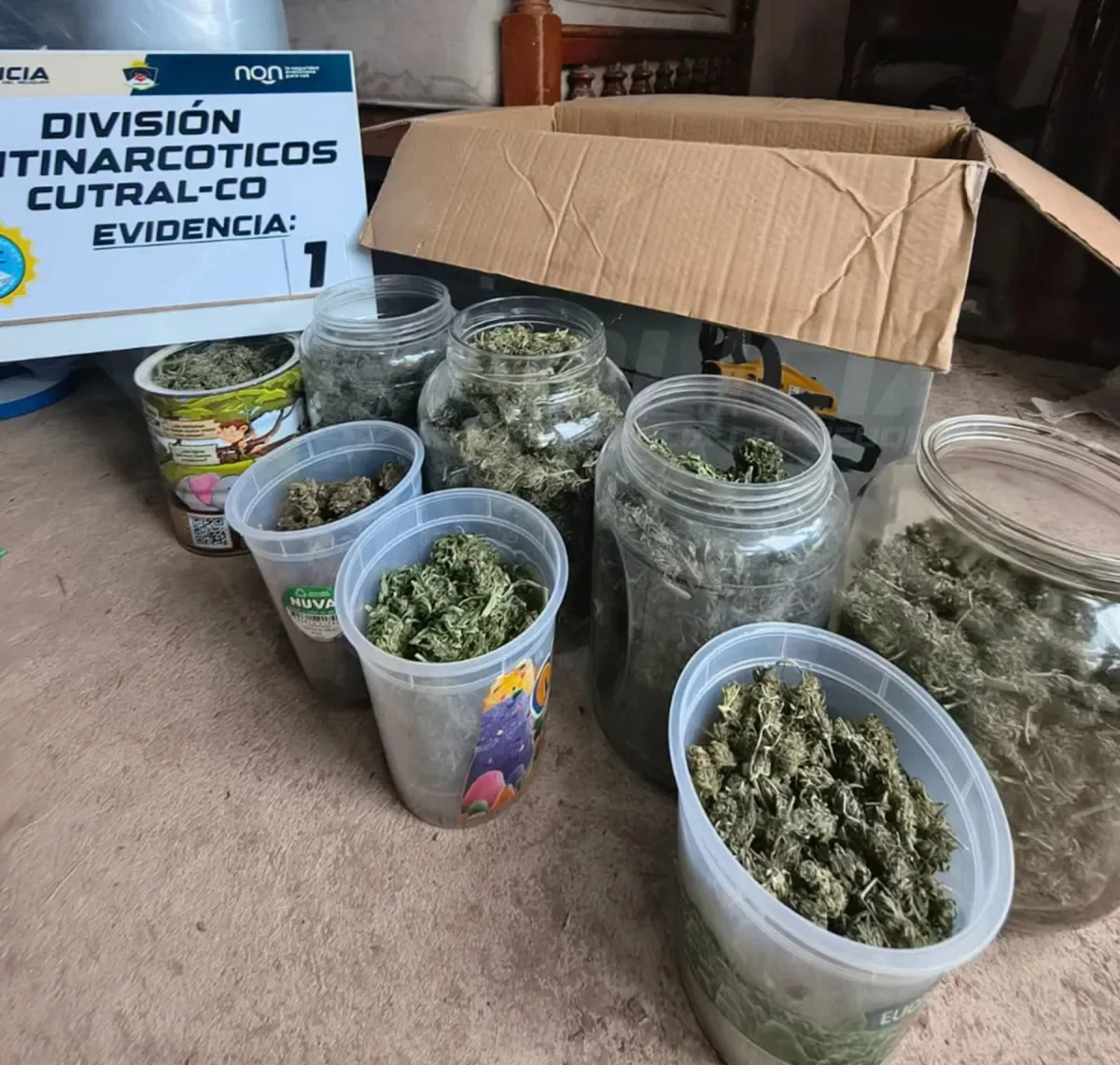 Operativo en Cutral Có: desarticulan una banda de narcotraficantes con un kilo de marihuana