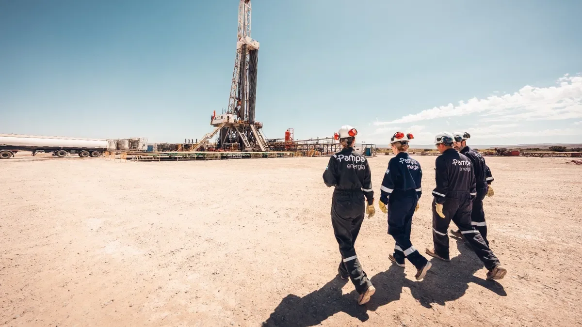 Pampa Energía busca autorización para una inversión millonaria en Rincón de Aranda