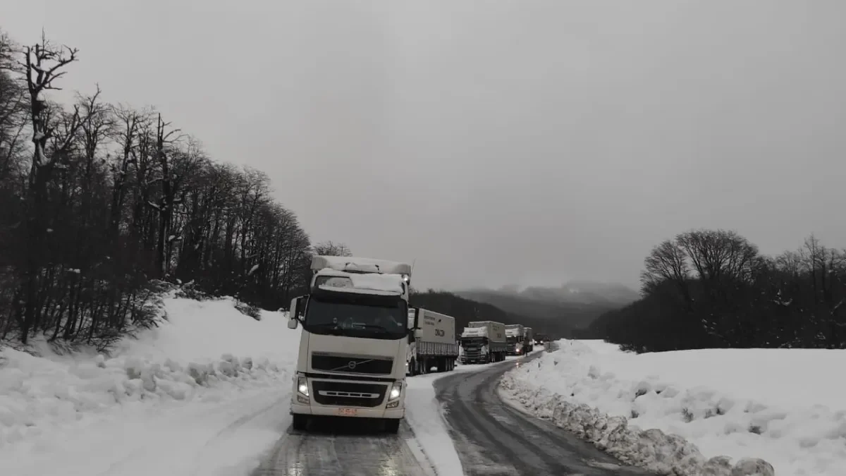 Pasos fronterizos Pino Hachado y Cardenal Samoré se preparan ante nevadas pronosticadas