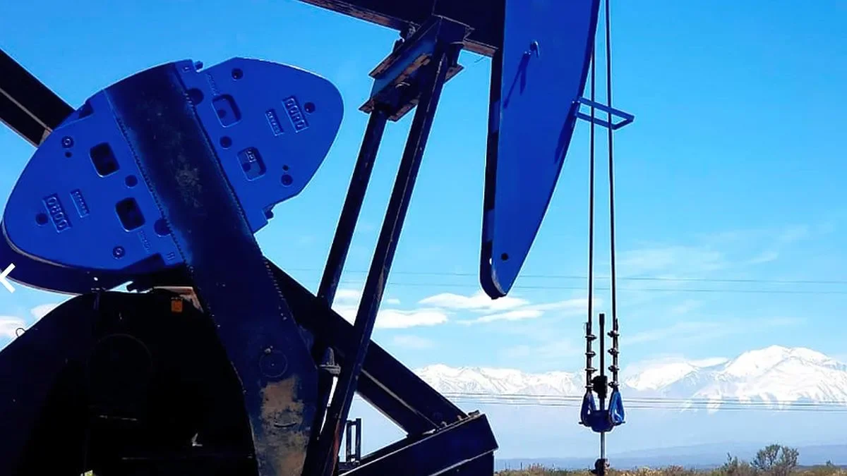 Pecom adquiere nuevo bloque en Vaca Muerta que elevará producción a más de 50.000 barriles diarios