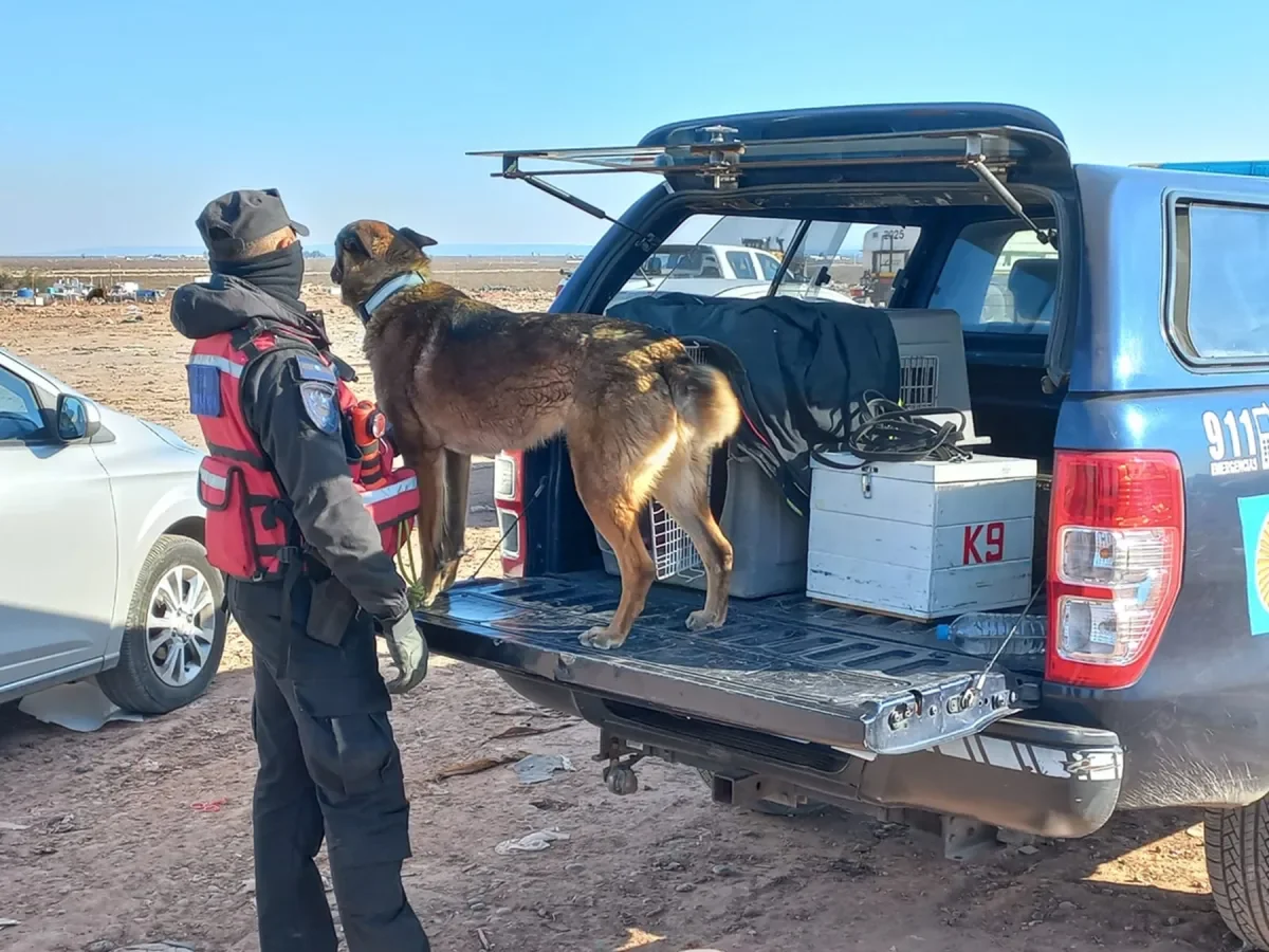 Perro de la Policía Federal se une a la búsqueda de Manlio Martínez en Neuquén