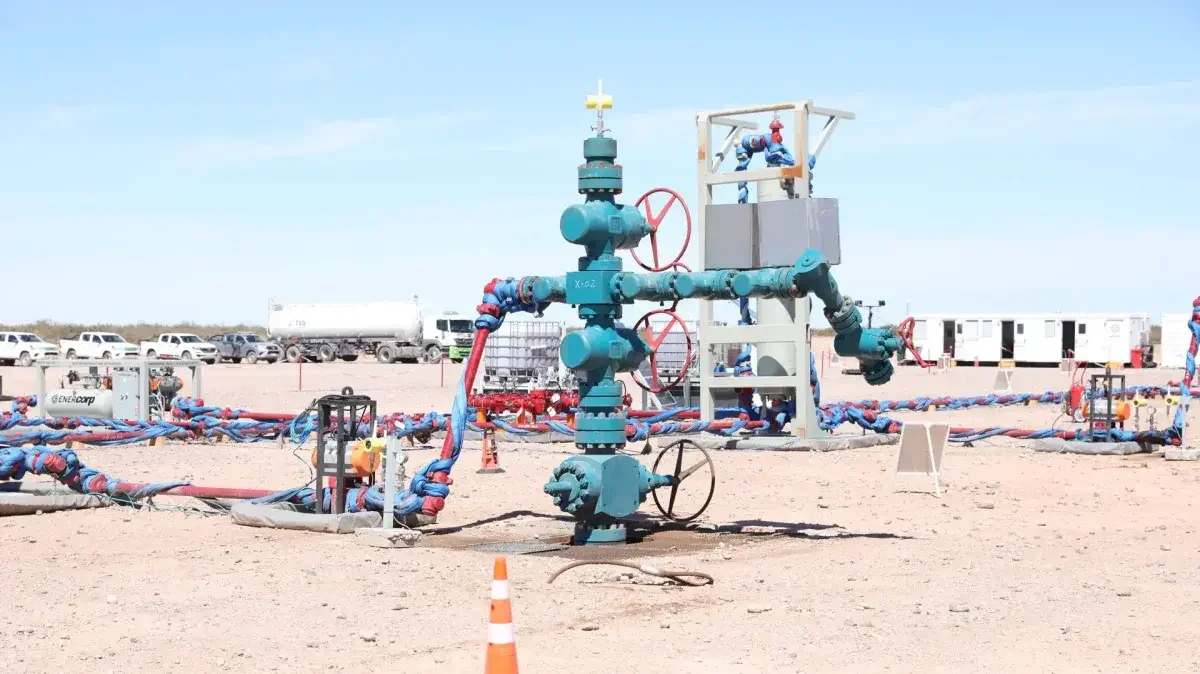 Phoenix obtiene concesión de 35 años en Vaca Muerta, impactando la producción energética