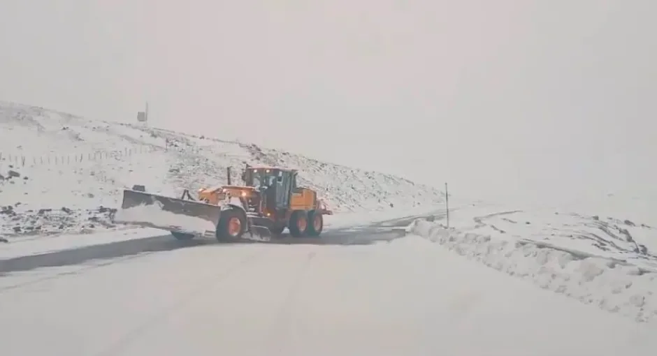 Pino Hachado permanece cerrado por acumulación de nieve y se espera actualización