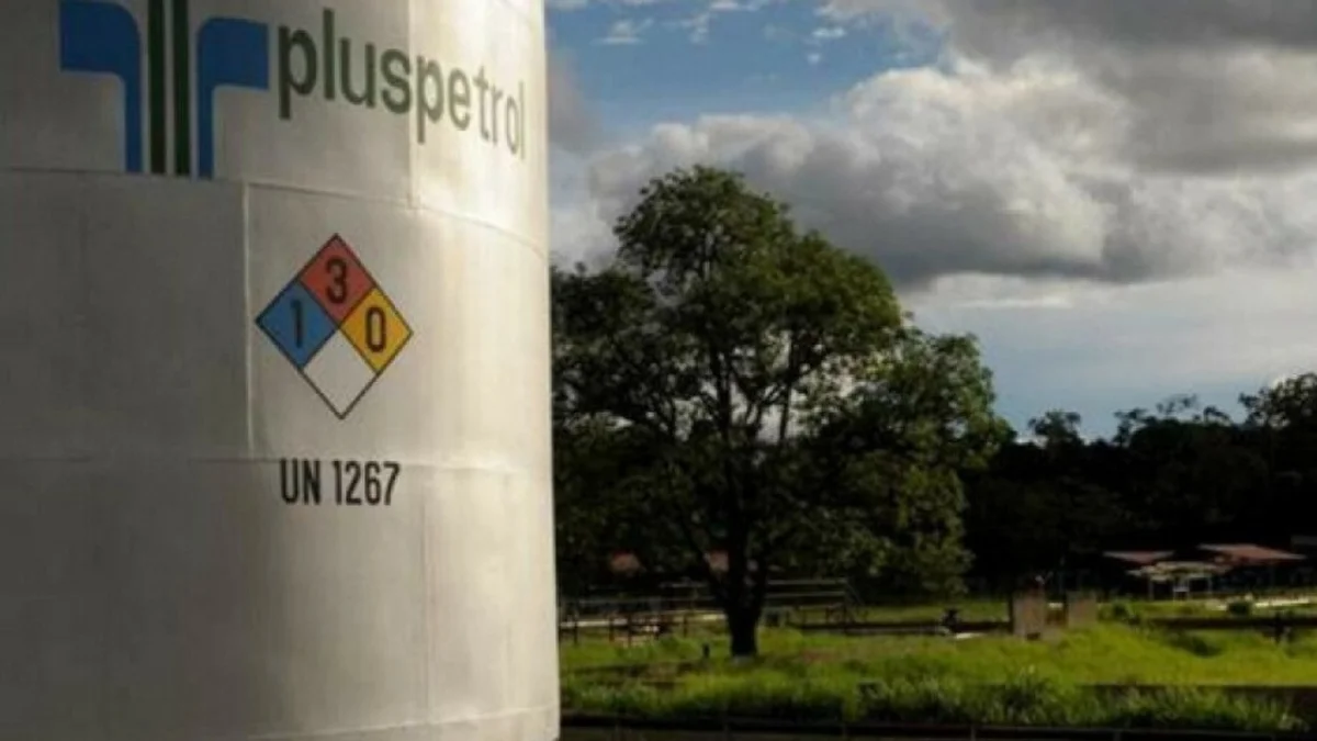 Pluspetrol refuerza su presencia en Vaca Muerta con nueva adquisición del 20%