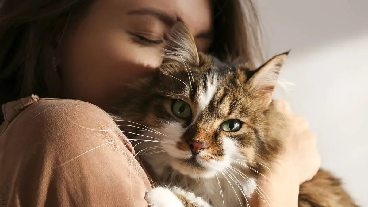 Preocupante informe revela la situación de salud de los gatos en el país