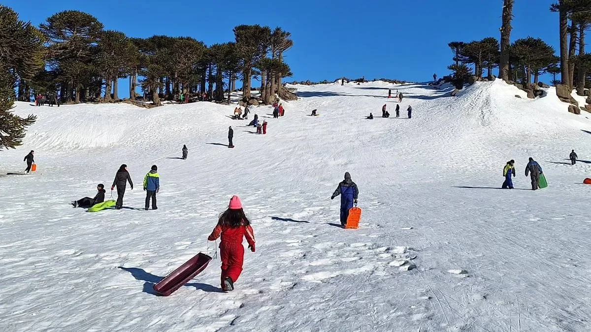 Primeros Pinos se transforma: licitación para un parque recreativo permanente