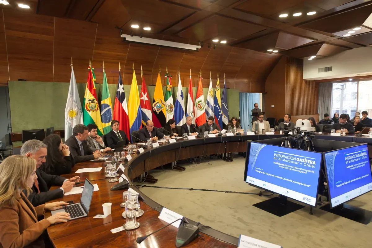 Producción regional de urea podría reemplazar importaciones de gas del Cono Sur