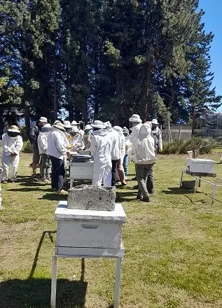 Productores locales reciben capacitación del INTA Bariloche sobre el impacto del invierno en las abejas