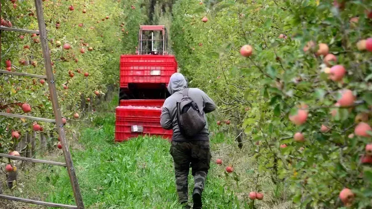 Productores neuquinos ante nuevos desafíos fiscales: adaptaciones necesarias