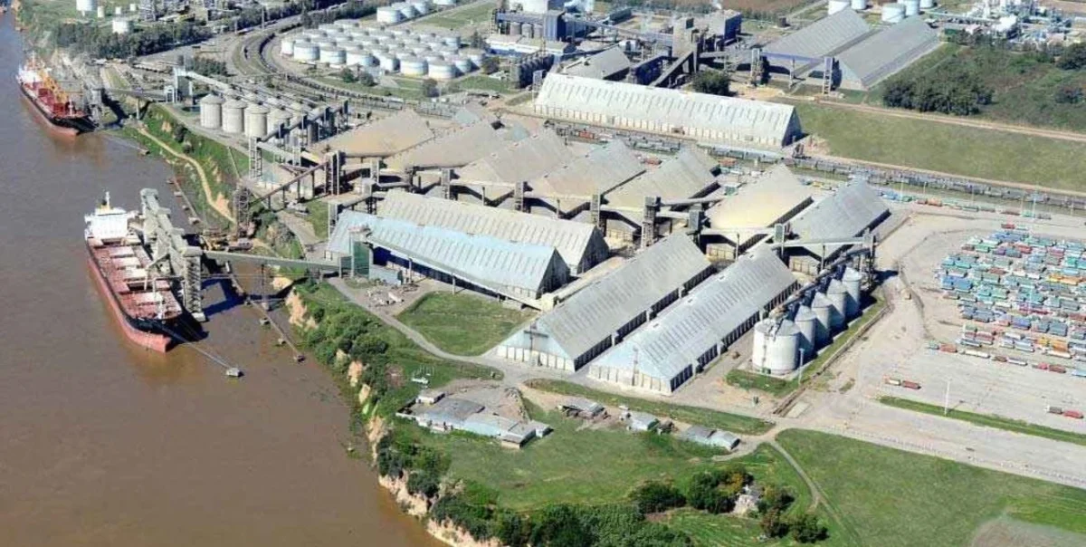 Récord histórico en exportaciones de aceites argentinos ante la creciente demanda mundial