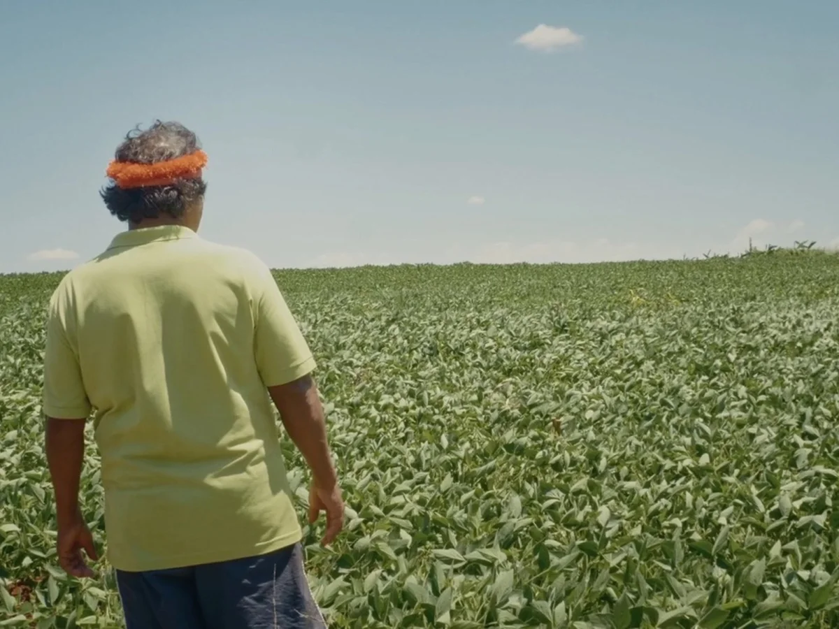 Regresa el Festival Internacional de Cine Ambiental: defensa del territorio en foco