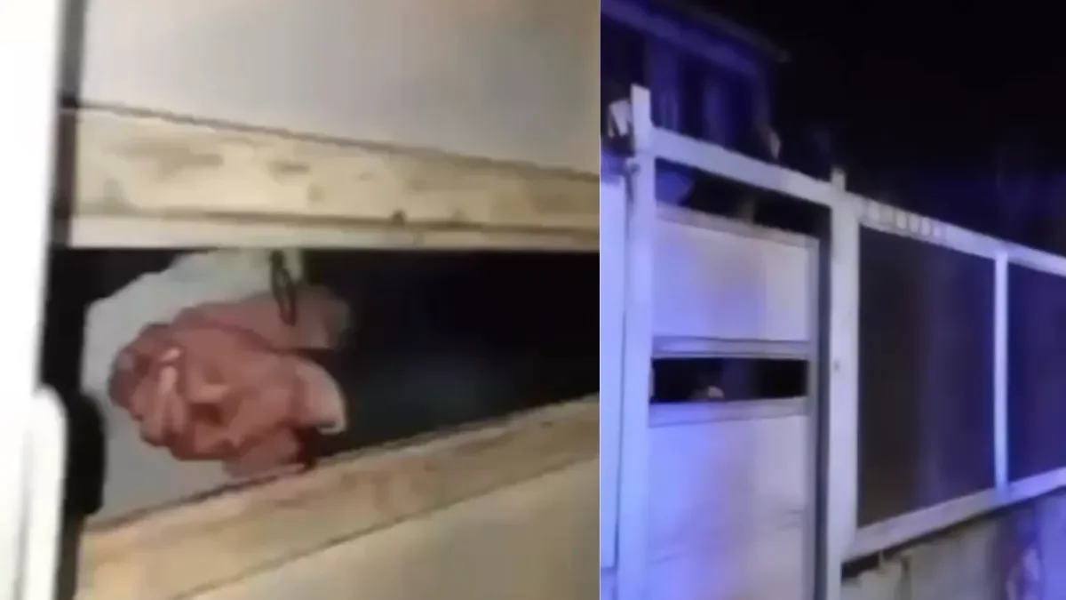 Rescatan a un ladrón atrapado en la reja de una casa tras intento de robo