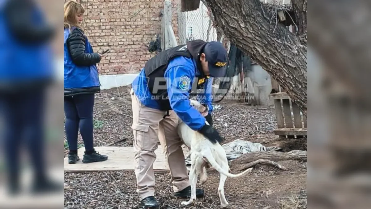 Rescatan a un perro en condiciones críticas en Neuquén tras maltrato animal