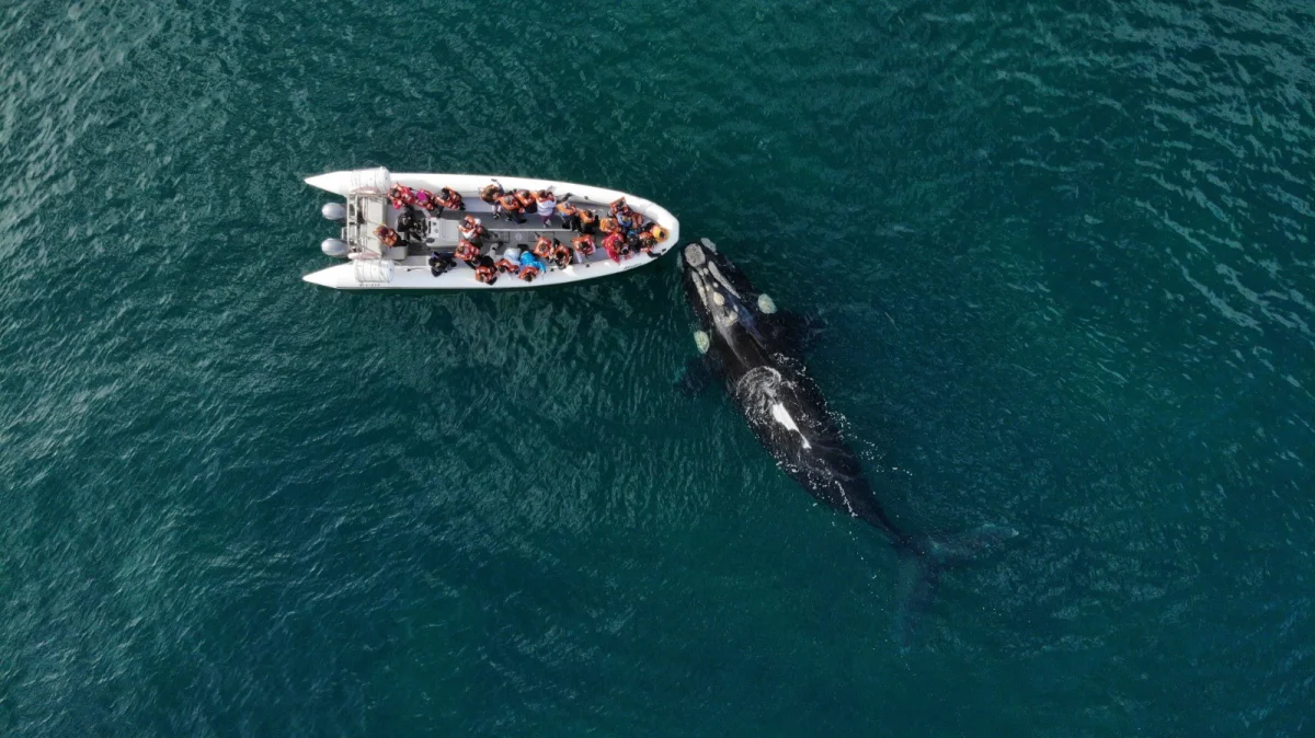 Río Negro lanza campaña para promocionar destinos turísticos invernales