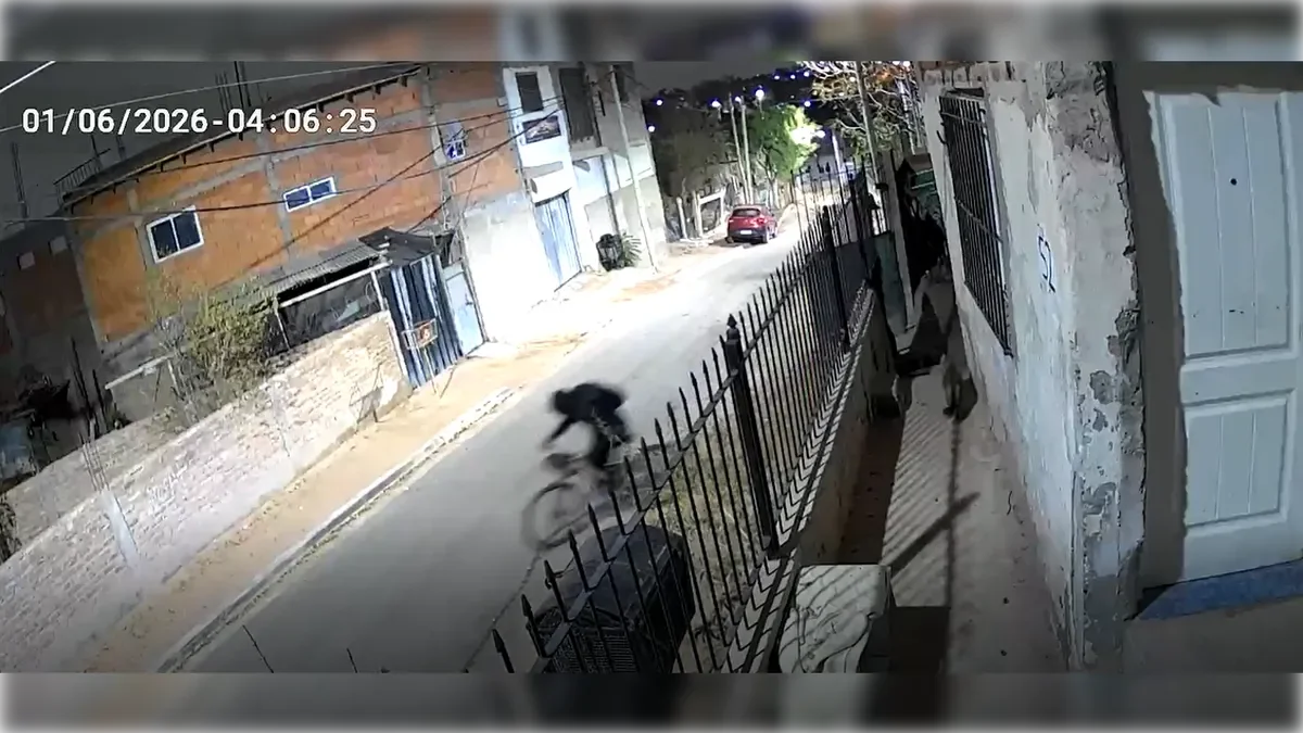 Roban bicicleta en plena madrugada: el hecho quedó registrado en video