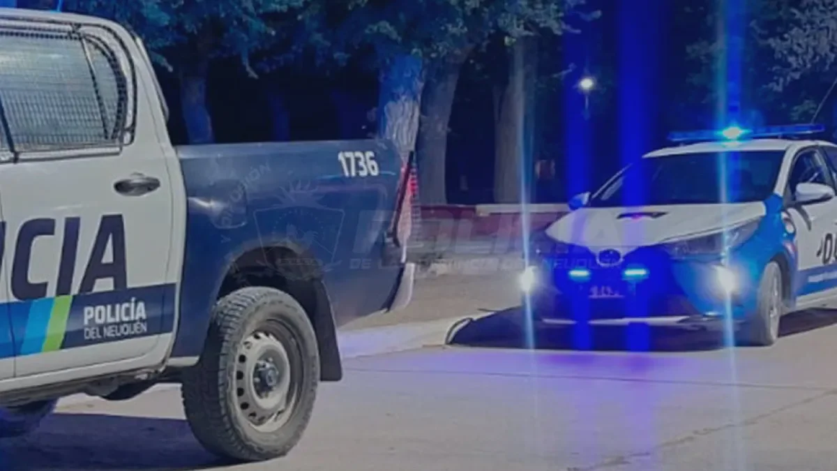 Roban supermercado en Zapala: un detenido y dos menores demorados tras el hecho