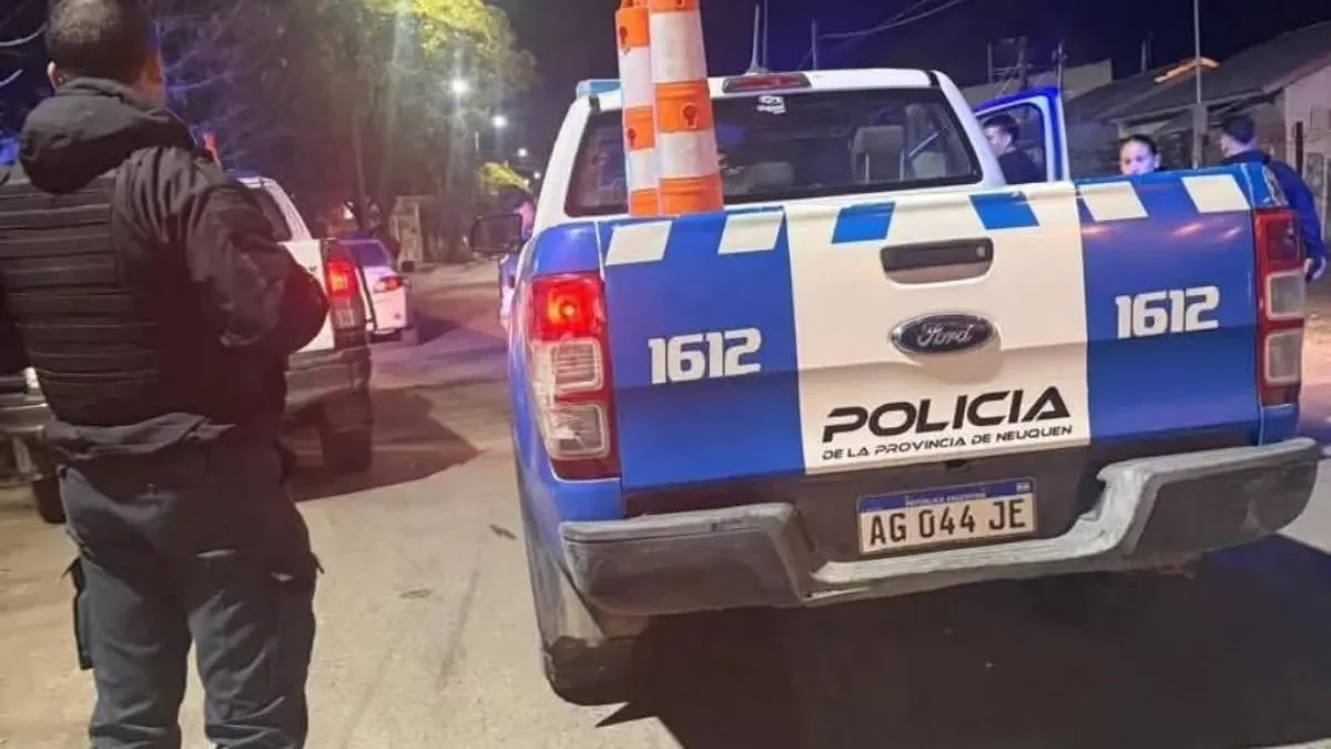 Robo a mano armada en Plottier: detalles de la estrategia de los delincuentes