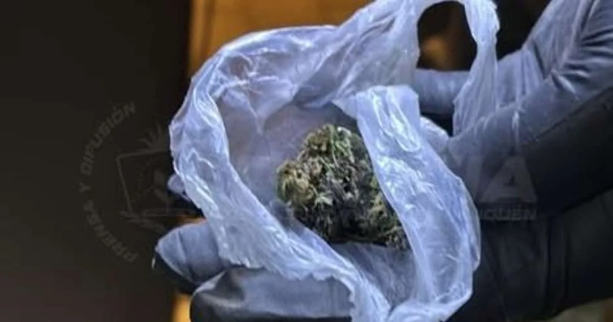 Robo a panadería en Neuquén: un detenido por múltiples pedidos de captura