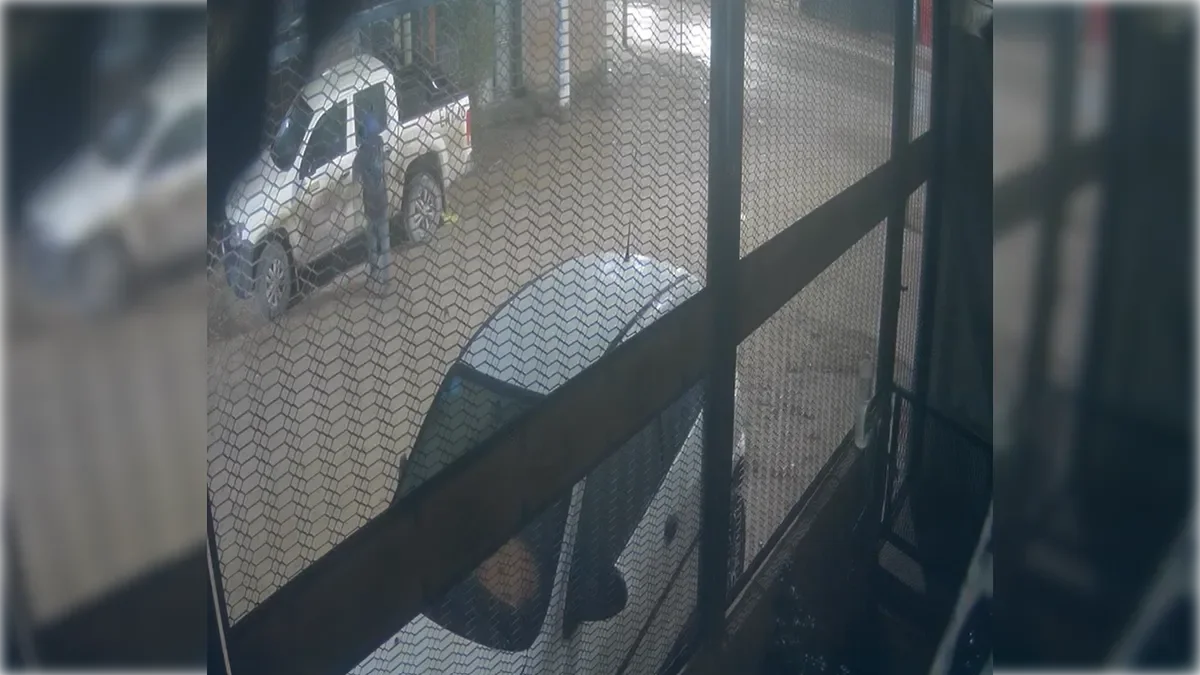 Robo en plena calle: delincuente rompe vidrio y sustrae pertenencias de una camioneta