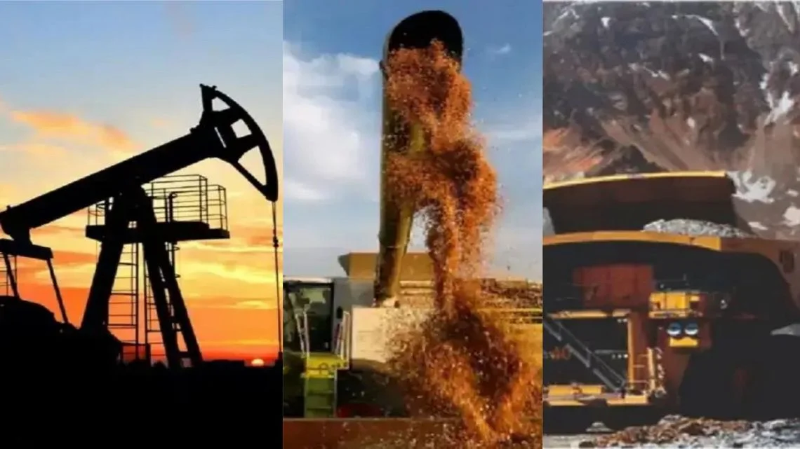 Schwarz resalta el auge de inversiones productivas más allá de Vaca Muerta y litio