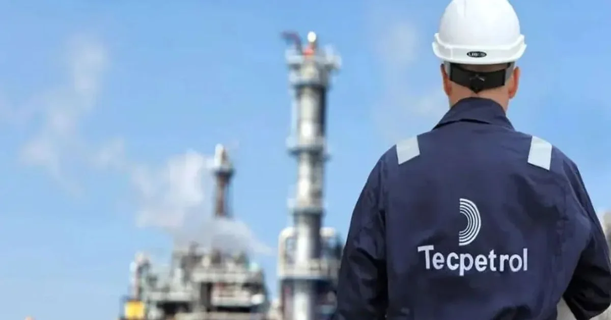 Tecpetrol destinará más de USD 6.400 millones para el desarrollo de Vaca Muerta