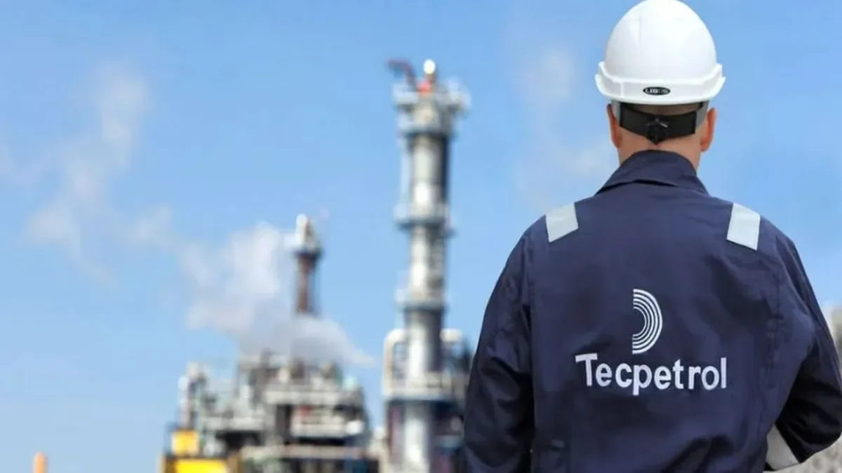 Tecpetrol se propone incrementar su producción en Vaca Muerta con un ambicioso plan