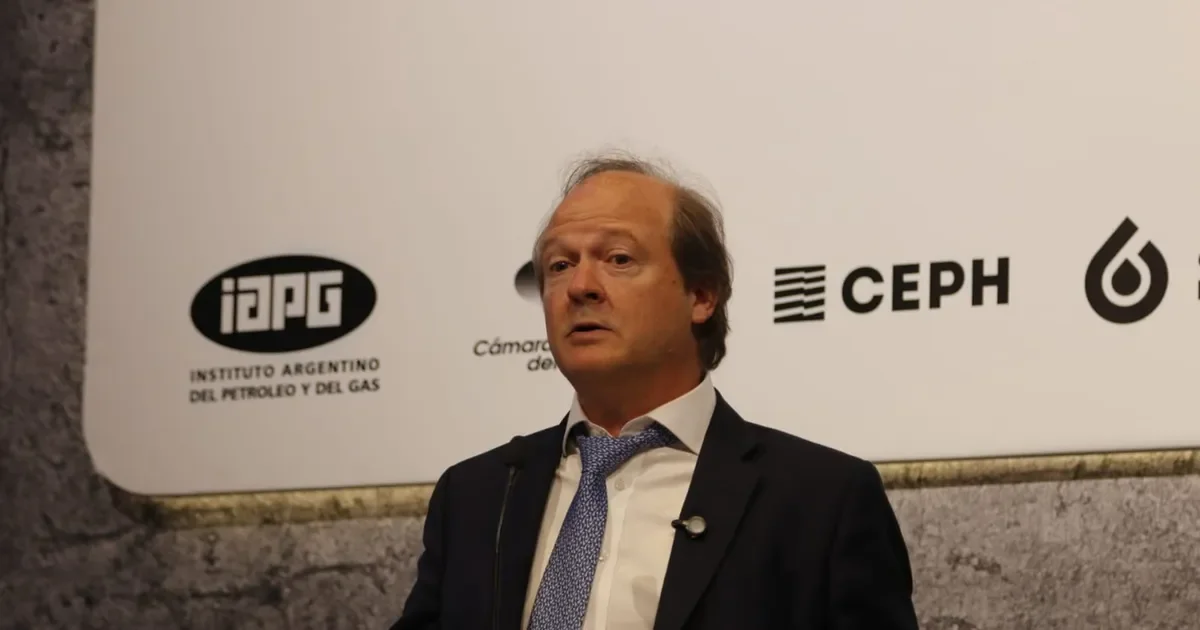 Toto Caputo impulsa un RIGI para potenciar la producción en Vaca Muerta