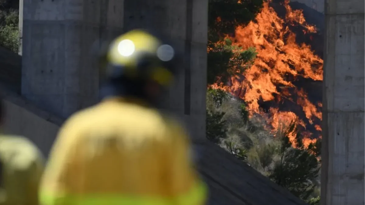 Tragedia en España: turistas afectados por un devastador incendio forestal