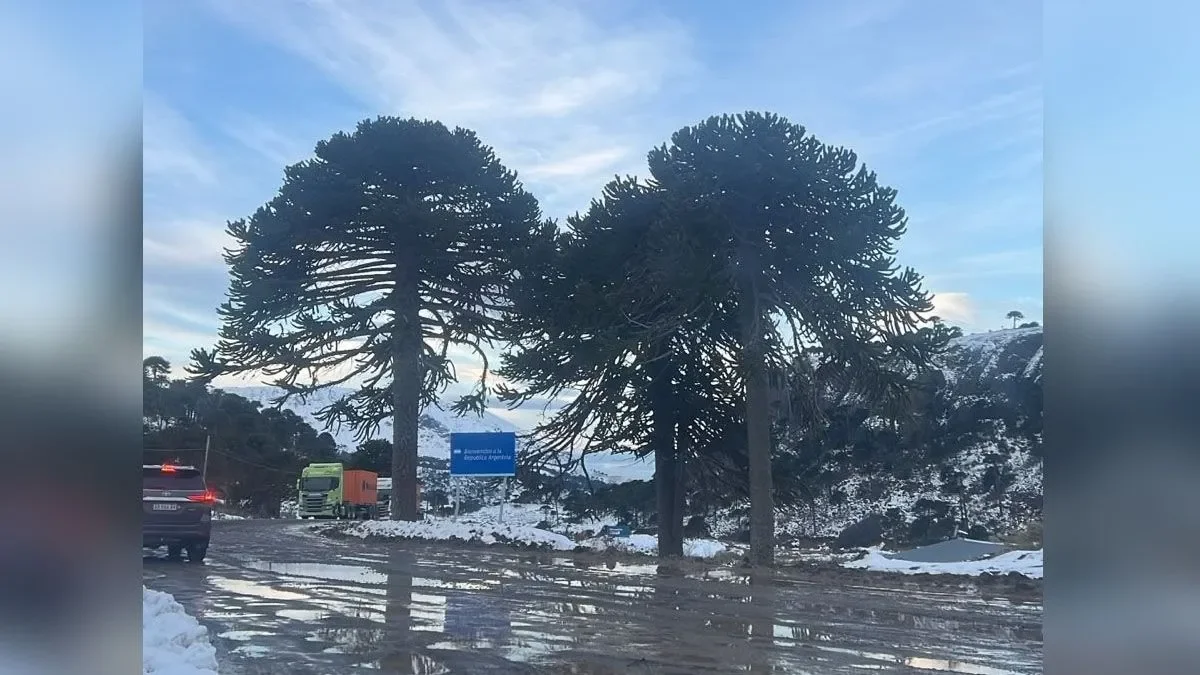 Tragedia en Pino Hachado: fallece camionero brasileño en espera de cruce