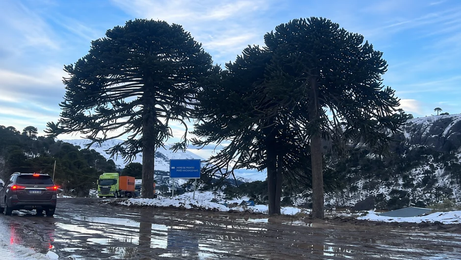 Tragedia en Pino Hachado: fallece camionero mientras esperaba para cruzar a Chile