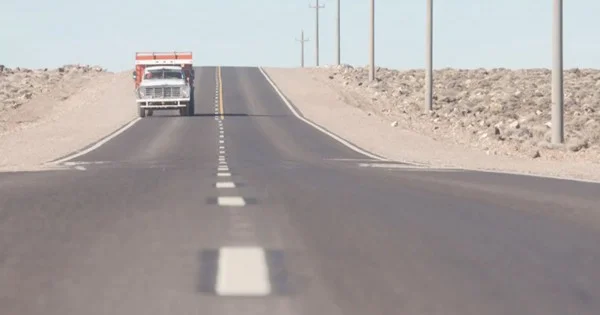 Tragedia en Zapala: turistas chilenos causan la muerte de un caballo en la ruta