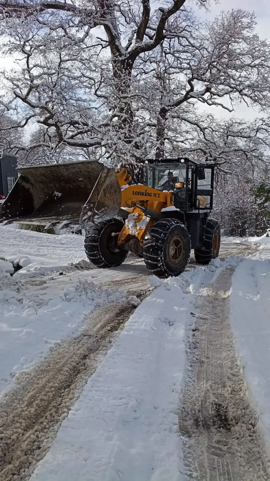 Transporte urbano vuelve a operar en la mayoría de los barrios tras la nevada