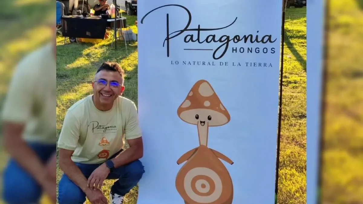 Un joven emprendedor del Alto Valle se destaca cultivando gírgolas sin experiencia previa