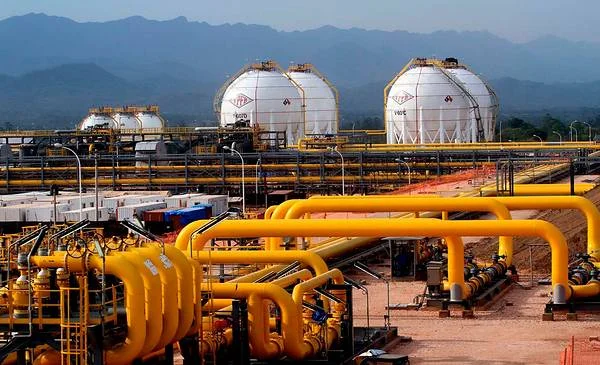 Vaca Muerta: Bolivia podría convertirse en comprador de gas para 2031