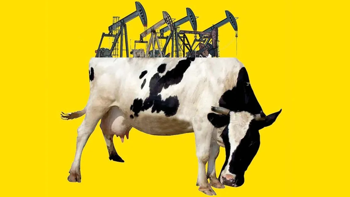 Vaca Muerta: la clave para la estabilidad económica del próximo gobierno