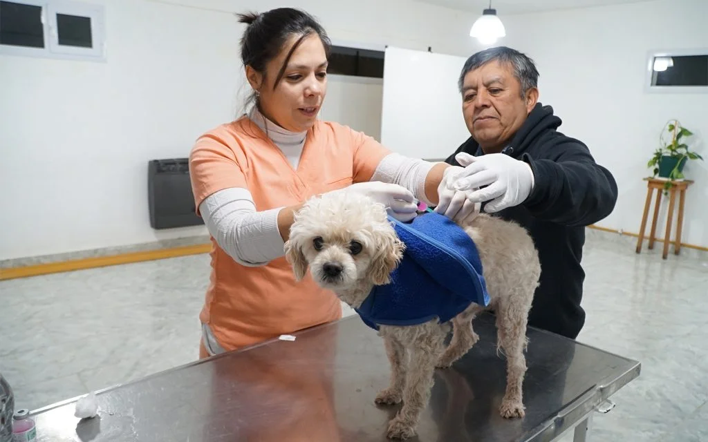 Vacunación antirrábica gratuita para mascotas: vecinos de Zapala podrán participar este fin de semana